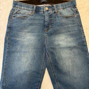 Curve Appeal Jean Shorts [Below the Knee Length] (Size 8 | 29)